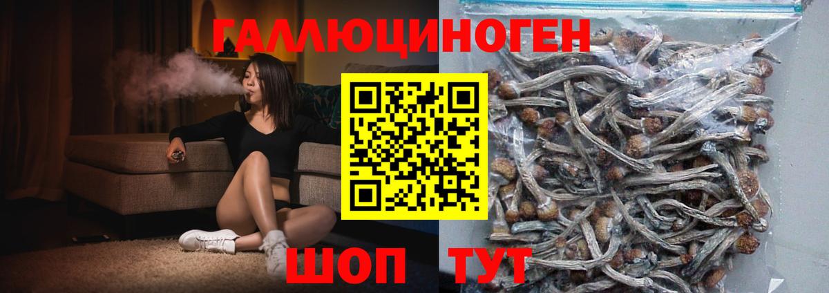 Киреевск  Псилоцибиновые грибы мухоморы  Вход с VPN 